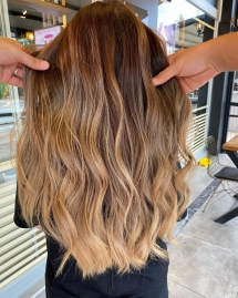 105978122_356285578690801_1095522875194474880_n